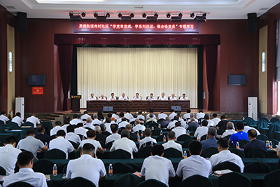 南村社区党委 组织开展“两学一做”学习教育活动